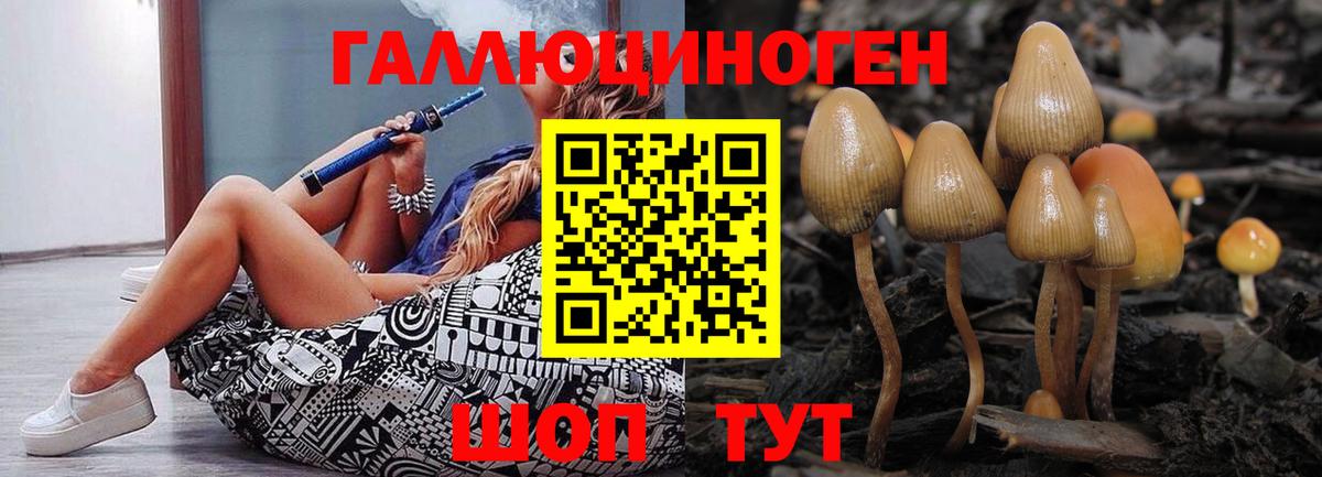 Галлюциногенные грибы ЛСД  Галлюциногенные грибы Psilocybe  Саранск  как найти закладки  Вход с VPN 